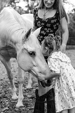 family-91