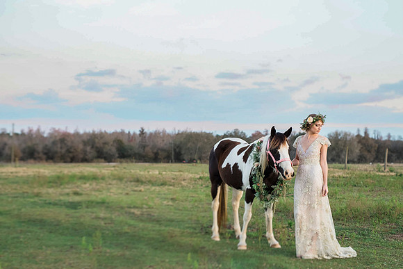 Private Horse Farm Wedding- Top Ocala wedding photographer