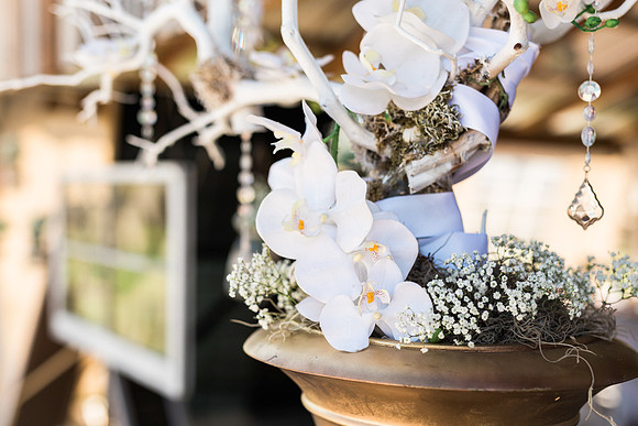 Award Winning Wedding Photography