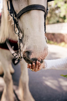 porta160weddingedit-7