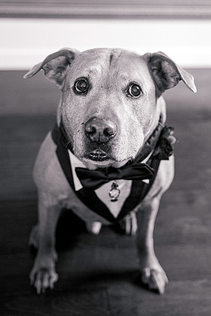 wedding-81