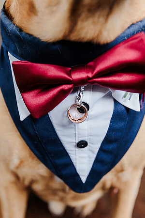 wedding-82
