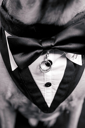 wedding-83