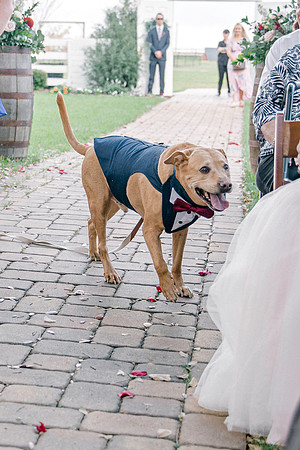 wedding-104