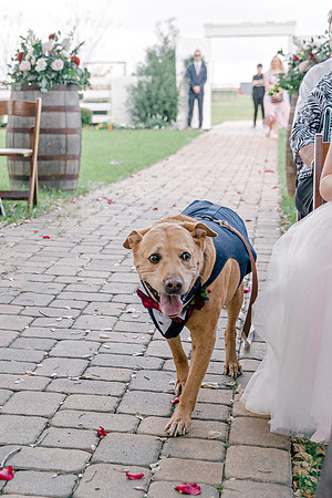 wedding-105