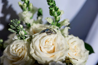 wedding-592