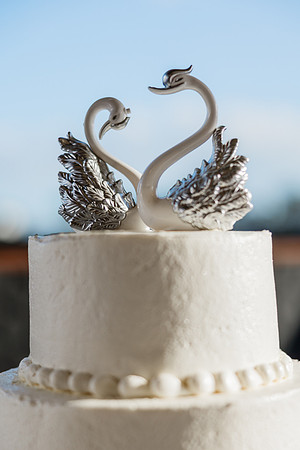 weddingclearwater-107