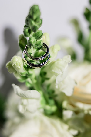 weddingclearwater-84