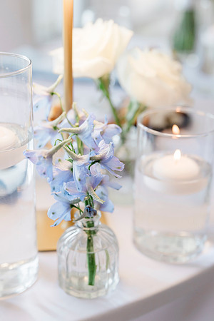 wedding-1079