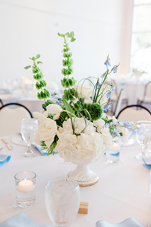 wedding-1085
