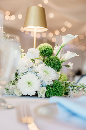 wedding-1089