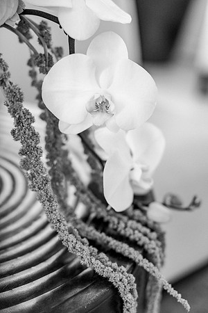 wedding-11