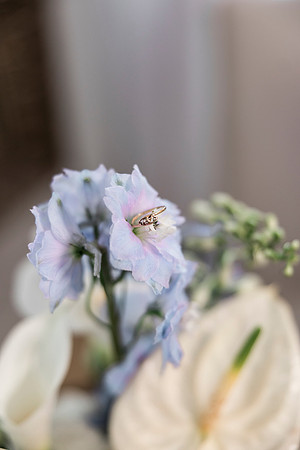 wedding-29