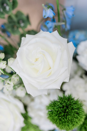 wedding-441