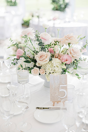 wedding-746