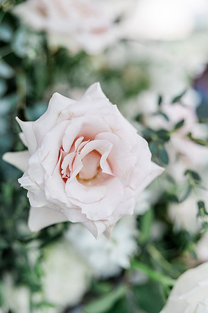 wedding-941