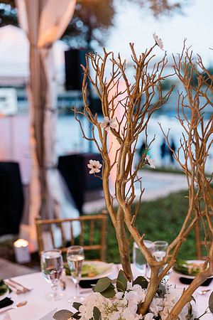 wedding-1237