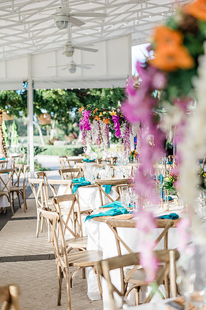 wedding-896