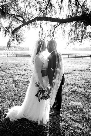 wedding-831