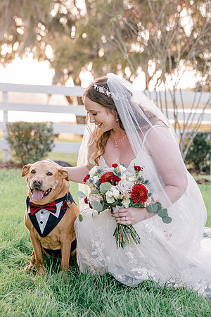 wedding-803