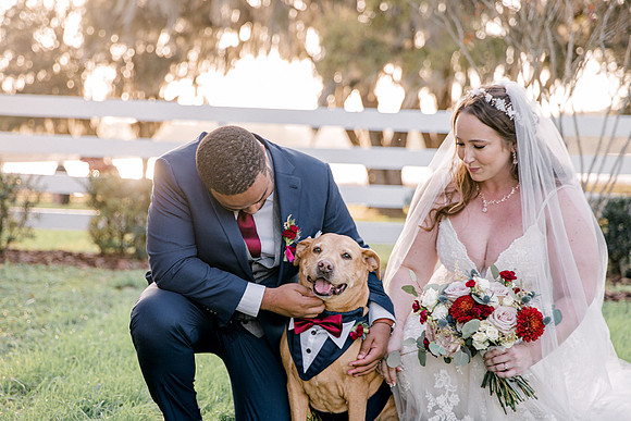 wedding-801