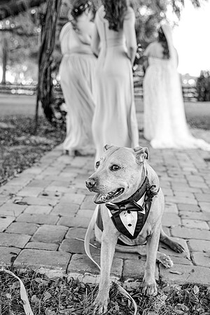 wedding-559