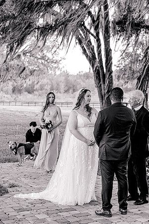 wedding-552