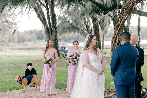 wedding-554