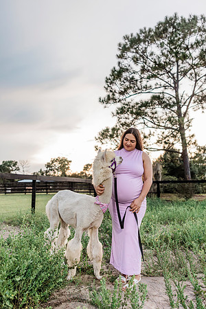maternity-30