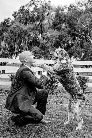 wedding-104
