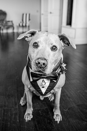 wedding-426