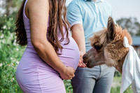 maternity-20
