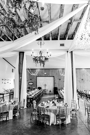 wedding -652