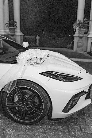 wedding-1154