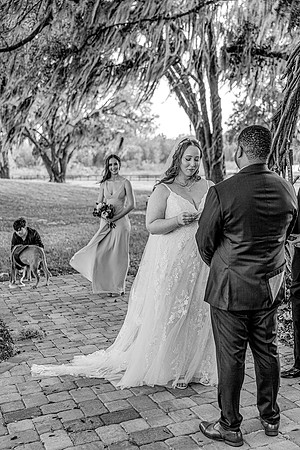 wedding-600