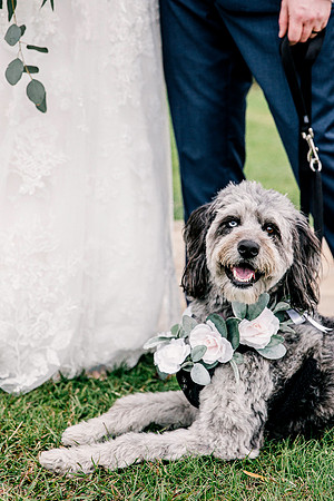 wedding-109