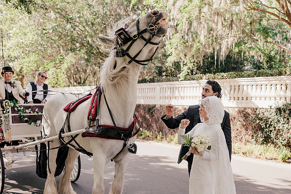wedding-210
