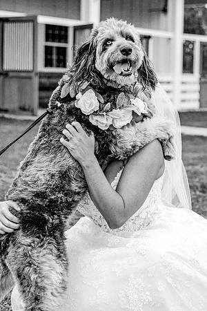 wedding-834