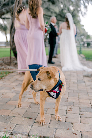 wedding-556