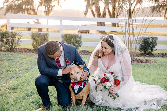 wedding-800