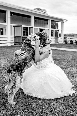 wedding-831