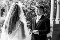 wedding-537
