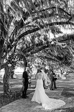wedding-478