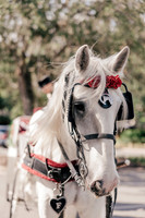 wedding-154