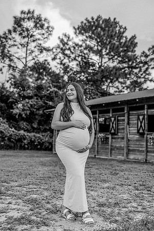 maternity-88