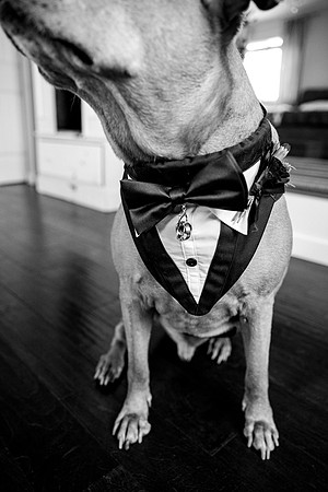 wedding-413