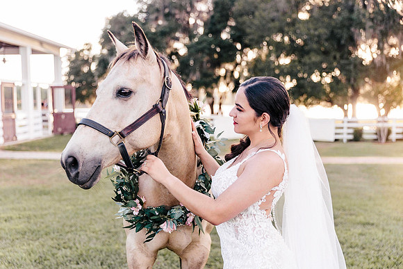 wedding -152