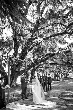 wedding -114