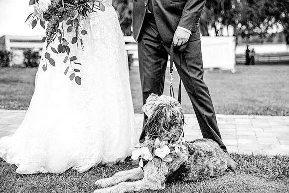 wedding-820