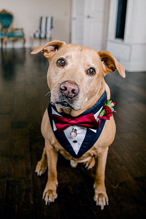 wedding-424